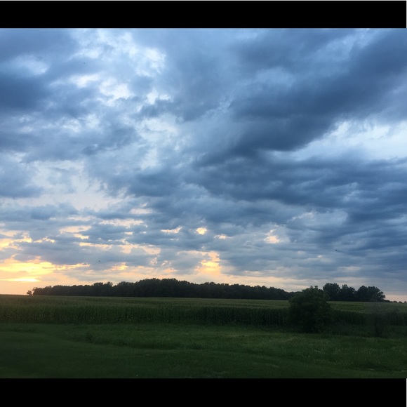 Meet your Posher, Emma - Picture 1 of 1